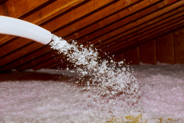 Best Specialized Insulation Services in Rendon, TX