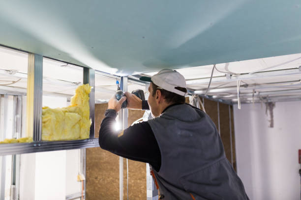 Best Residential Insulation in Rendon, TX