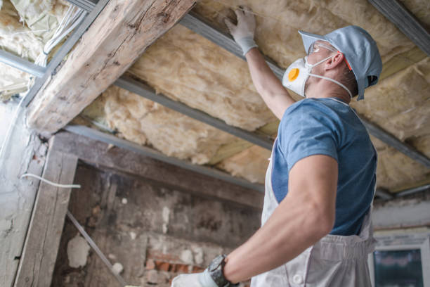 Best Commercial Insulation in Rendon, TX