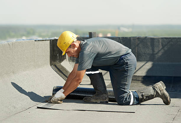 Best Insulation Maintenance and Repair in Rendon, TX