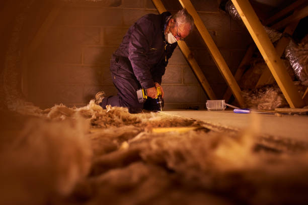 Professional Insulation Contractor in Rendon, TX