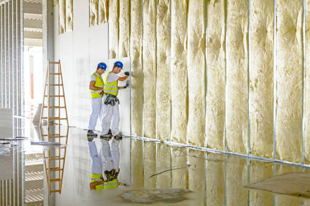 Best Geographic-Specific Insulation Services in Rendon, TX
